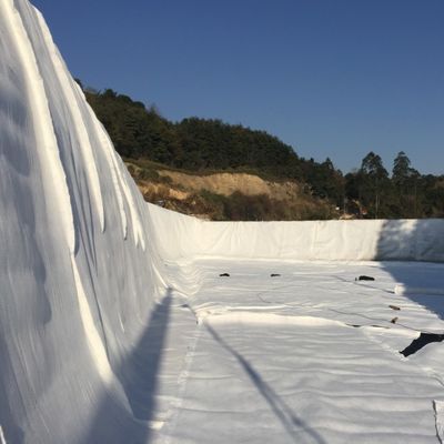 densità Polietilene Plastica Geotessile e Geonet 3D Composite Drainage Net Ideale