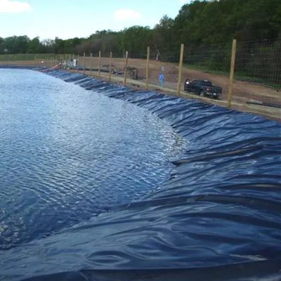 Geomembrane 1mm 2mm Acque resistenti Acquario di diga rivestimento Piscina Pesce stagno agricoltura rivestimento HDPE