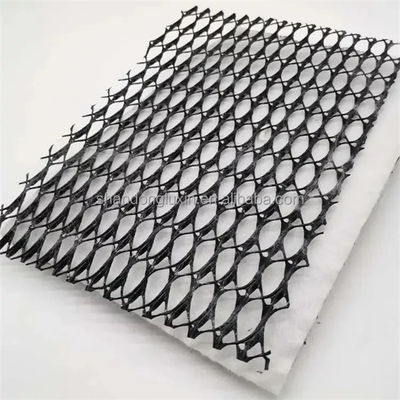 densità Polietilene Plastica Geotessile e Geonet 3D Composite Drainage Net Ideale