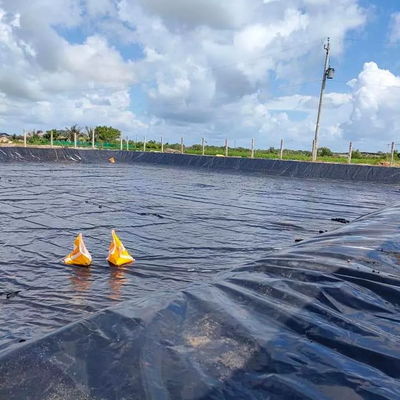 Geomembrane 1mm 2mm Acque resistenti Acquario di diga rivestimento Piscina Pesce stagno agricoltura rivestimento HDPE
