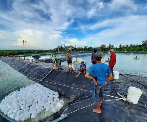 Campione fornito Geomembrana in HDPE per la diga del serbatoio del lago rivestimento della piscina piscina pesce stagno azienda agricola