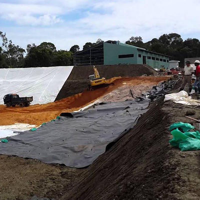 Campione fornito Geomembrana in HDPE per la diga del serbatoio del lago rivestimento della piscina piscina pesce stagno azienda agricola