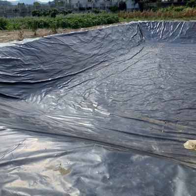 Campione fornito Geomembrana in HDPE per la diga del serbatoio del lago rivestimento della piscina piscina pesce stagno azienda agricola