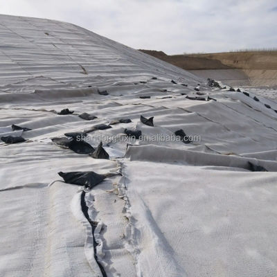 Pagamento T/T Geonet per il drenaggio composto 3D nella costruzione di uffici