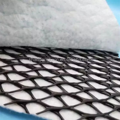 50m/100m Lunghezza HDPE Mesh 3D Composite Drainage Composite Geo Net in bianco nero