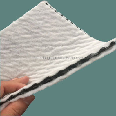 50m/100m Lunghezza HDPE Mesh 3D Composite Drainage Composite Geo Net in bianco nero