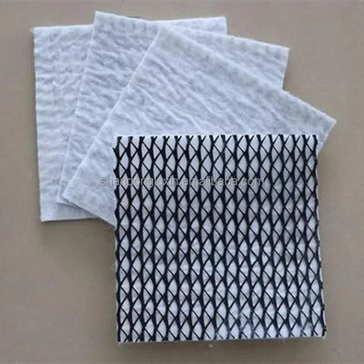 50m/100m Lunghezza HDPE Mesh 3D Composite Drainage Composite Geo Net in bianco nero