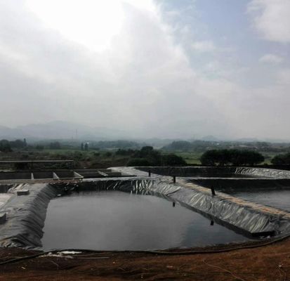 1Geomembrana in HDPE da 0,0 mm per stagni di pesce Larghezza 1-6m Geomembrana nera resistente ai prodotti chimici