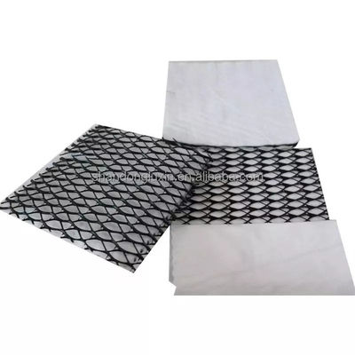 Rete di drenaggio composta tridimensionale in bianco e nero Geonet Hdpe 5 mm Matta di drenaggio tessuto non tessuto