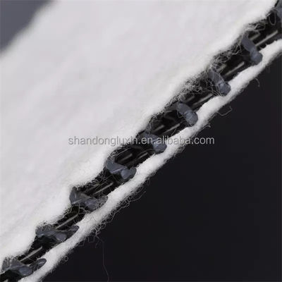 Rete di drenaggio composta tridimensionale in bianco e nero Geonet Hdpe 5 mm Matta di drenaggio tessuto non tessuto