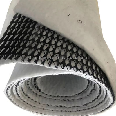 Rete di drenaggio composta tridimensionale in bianco e nero Geonet Hdpe 5 mm Matta di drenaggio tessuto non tessuto