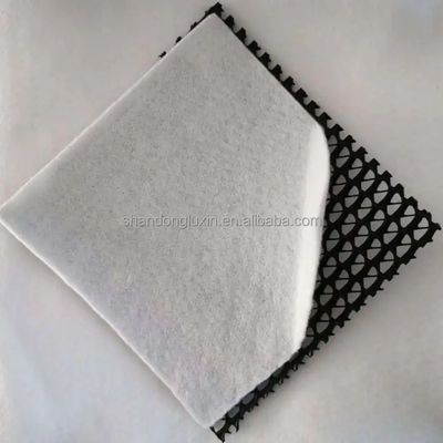 densità Polietilene plastica Geo Net per drenaggio Mesh 3D composito da Geosintetics