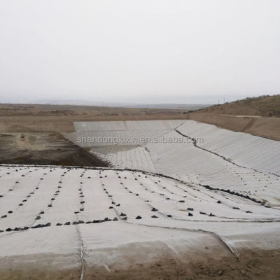 Georete di drenaggio con barriera salina in HDPE 3D Rete geocomposita per il drenaggio di giardini stradali di discarica