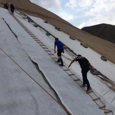 Rete di drenaggio composta tridimensionale con opzioni di lunghezza di 50 m a 100 m o personalizzate