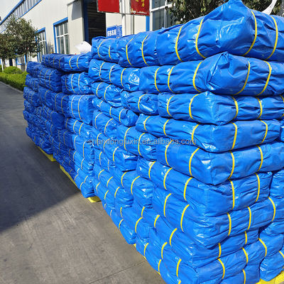 Copertura esterna e campeggio PE Piastra di telone per camion/auto/barca Coperture in blu/bianco