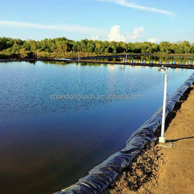 ASTM GRI-GM13 Standard HDPE Liner per stagni di pesce e serbatoi agricoli Spessore 0,3 mm-1 mm