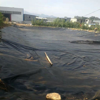 ASTM GRI-GM13 Standard HDPE Liner per stagni di pesce e serbatoi agricoli Spessore 0,3 mm-1 mm