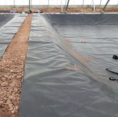 Geomembrana in HDPE in colore nero bianco blu o verde Lunghezza 50-200m