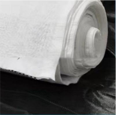Funzione di drenaggio dell'acqua Rete di drenaggio composta in HDPE da 5 mm in bianco e nero per discariche