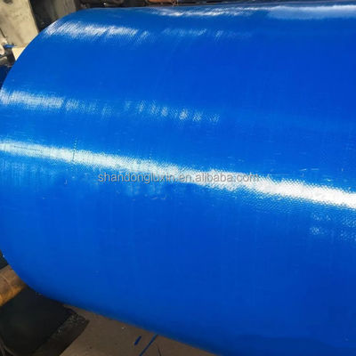 Materiale di polietilene Tela di protezione solare in 4x6m Dimensione per la protezione contro la pioggia e UV