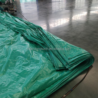 2m x 100m HDPE Tarpaulin Roll con modello di tessuto rivestito in Corea