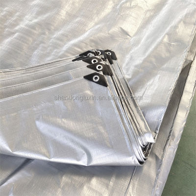 2m x 100m HDPE Tarpaulin Roll con modello di tessuto rivestito in Corea