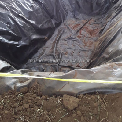 Fogli di geomembrana di plastica a doppio liscio idroreflessibile in HDPE per acquicoltura