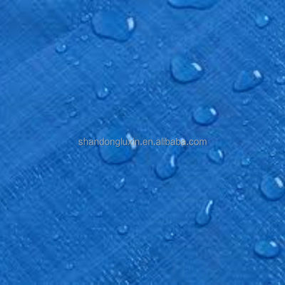500D-1500D Numero di filati Tela di rimorchio pesante HDPE Tela blu impermeabile