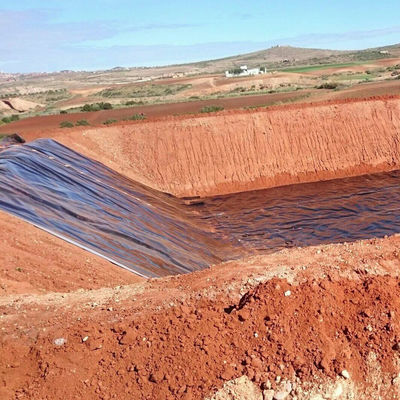 Acquicoltura industriale Geomembrana di rivestimento di stagni da 0,3 mm a 3,0 mm per stagni di pesci e gamberetti