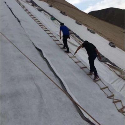 50 m di lunghezza Moderno design Drenaggio composto tridimensionale Geonet 6 mm di spessore per autostrade