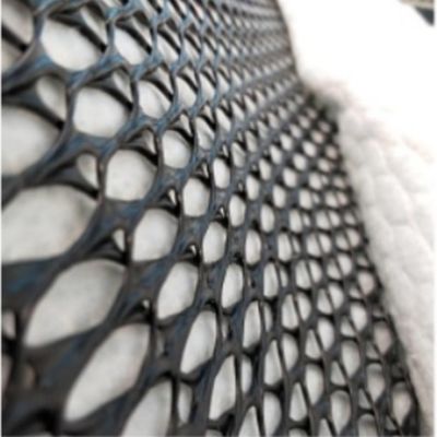Spessore di 8 mm Geonet di drenaggio composto tridimensionale ecologico per gallerie