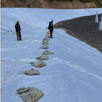 Spessore di 8 mm Geonet di drenaggio composto tridimensionale ecologico per gallerie