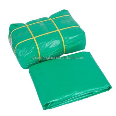 6*6-16*16 Densità Altro tessuto Copertura di serra Rollo di tessuto di plastica multiuso