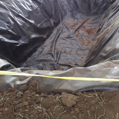 Geomembrana di polietilene di densità 0,5 mm 0,75 mm 1,5 mm 2 mm Ideale per discariche e miniere