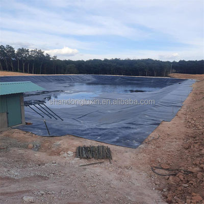 Carta di rivestimento di stagni in LLDPE per il progetto di riserva in Malesia 1m-8m Larghezza materiale HDPE