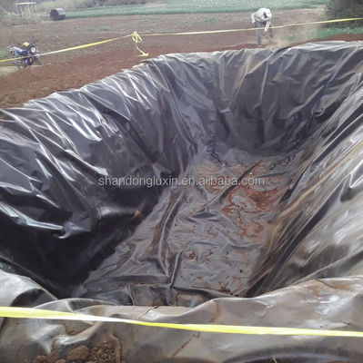 Design industriale stile HDPE Geomembrane Liner 0,5 mm 1,0 mm 1,2 mm 2 mm per stagno di allevamento di pesci