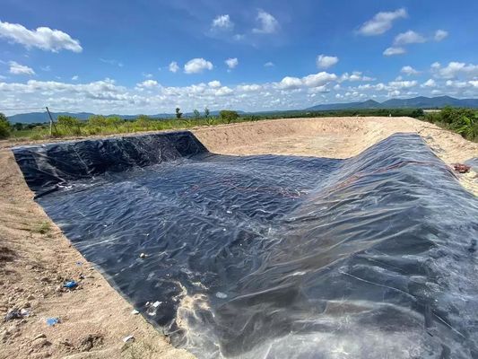500 micron Rivestimenti di dighe Prezzi Geomembrana HDPE impermeabile per la piscicoltura