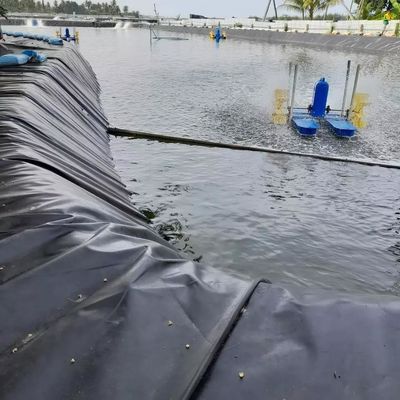 0Geomembrana in HDPE nero da 0,5 mm per l'allevamento di pesci