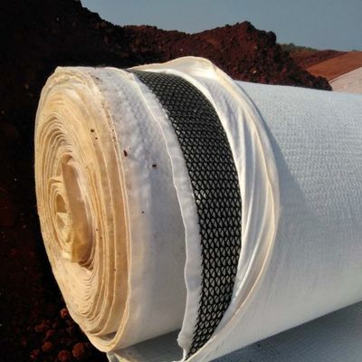 Funzione di drenaggio dell'acqua Geonet di drenaggio di plastica spessa 6 mm al centro di Geonet composito