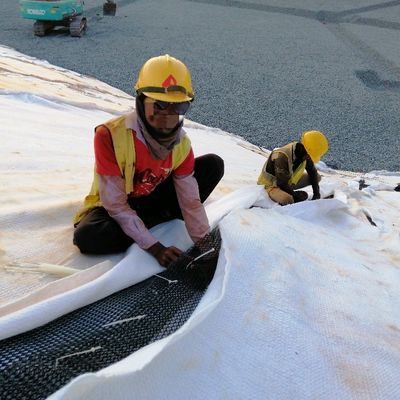 Funzione di drenaggio dell'acqua Geonet di drenaggio di plastica spessa 6 mm al centro di Geonet composito