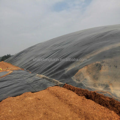 Superficie doppia liscia 60 Mil EPDM in gomma di grado alimentare