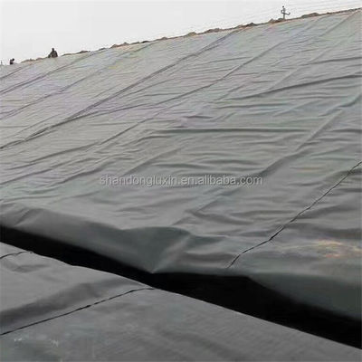 Ted Baker Laguna Blu Laguna Naturale Geomembrana Pesce stagno rivestimento di terra per industria
