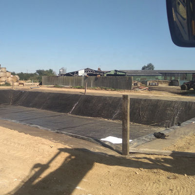 Geomembrana in HDPE come rivestimento di stagno agricolo con lunghezza di 50-100m/rollo Personalizzabile