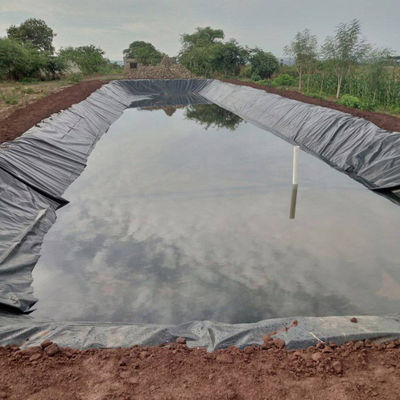 Entrambi i lati lisci/tessurati Geomembrane Liner HDPE per stagno di allevamento di pesci 0,5 mm 1,0 mm 1,2 mm 2 mm