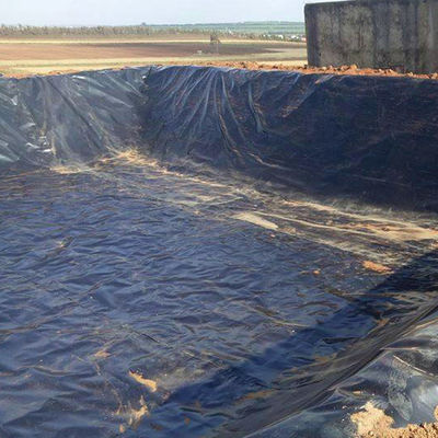 Geomembrana industriale in HDPE per stagno spessore 0,2 mm-3 mm per la gestione dell'acqua