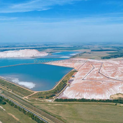 Fabbrica di pesci Pond Liner Geomembrana HDPE 1mm 1.5mm 2mm con e Stile di progettazione industriale