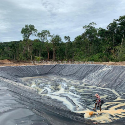 Fabbrica di pesci Pond Liner Geomembrana HDPE 1mm 1.5mm 2mm con e Stile di progettazione industriale