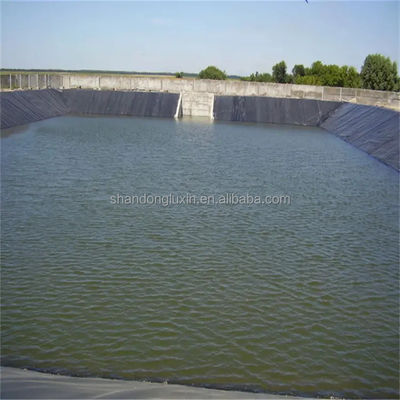 Fabbrica di pesci Pond Liner Geomembrana HDPE 1mm 1.5mm 2mm con e Stile di progettazione industriale