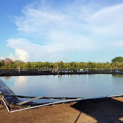 Discarica Acquicoltura Serbatoio geomembrana per laghi artificiali Lunghezza 50-100m o personalizzato