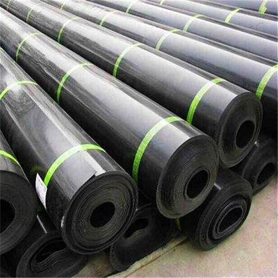Piscine doppio liscio HDPE Pond Liner 1mm 2mm Geomembrana Acqua resistente foglio di plastica